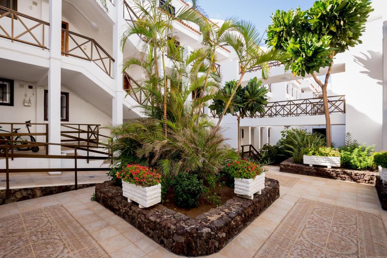 Go2Tenerife Apart'Pesca Rooftop Santiago 1 Πλάγια ντε λας Αμέρικας Εξωτερικό φωτογραφία