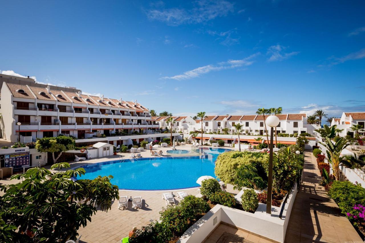 Go2Tenerife Apart'Pesca Rooftop Santiago 1 Πλάγια ντε λας Αμέρικας Εξωτερικό φωτογραφία